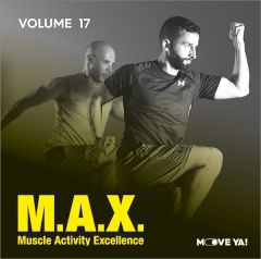 M.A.X. Vol. 17