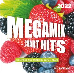 MEGAMIX Chart Hits 2022